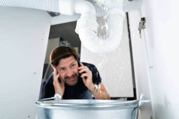 Best Septic Systems  in Dwight, IL