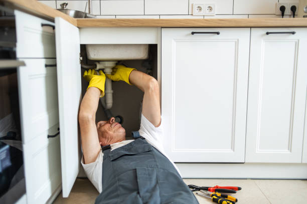 Best Toilet Repair Services  in Dwight, IL