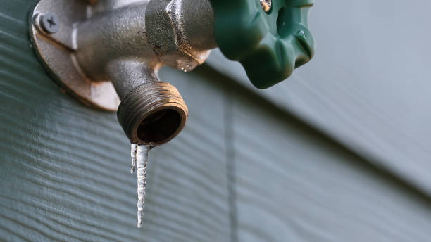 Best Residential Plumbing Services  in Dwight, IL