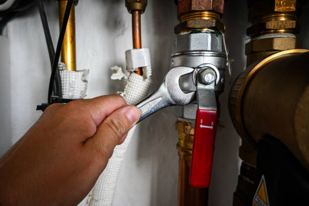 Best 24-Hour Plumber Near Me  in Dwight, IL